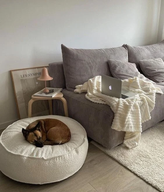 Gemütliches Wohnzimmer mit grauem Cord-Sofa, Laptop auf einer Kuscheldecke und schlafendem Hund auf einem Bouclé-Pouf